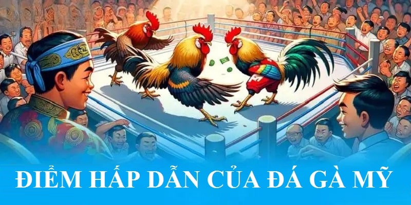 Điểm hấp dẫn của đá gà Mỹ